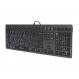 Клавіатура A4Tech Fstyler FX60H Grey White backlit