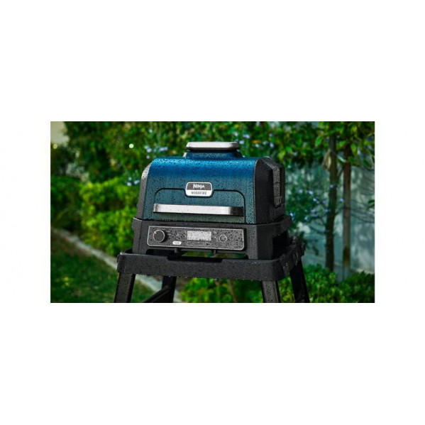 Гриль-барбекю Ninja Woodfire Pro XL OG850EU