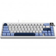Клавіатура Ajazz AK650 Sea Salt Switch White USB-C (AK650-SS-BWB)