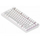 Клавіатура Dark Project ALU81 Terra Nostra White (DPKB_NOSTRA_81_ANSI_WHITE_UA)