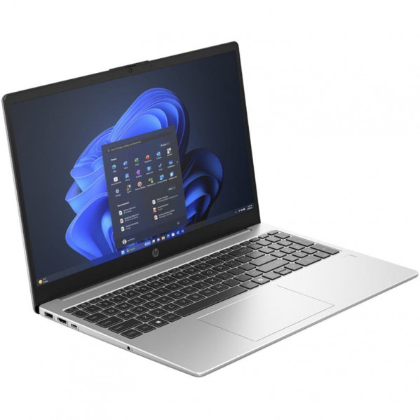 Ноутбук HP 250R G10 (CN5X6AT) Silver