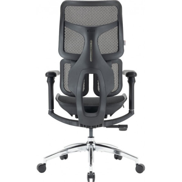 Крісло офісне Sihoo Doro S100 Mesh Black (S100-M301)