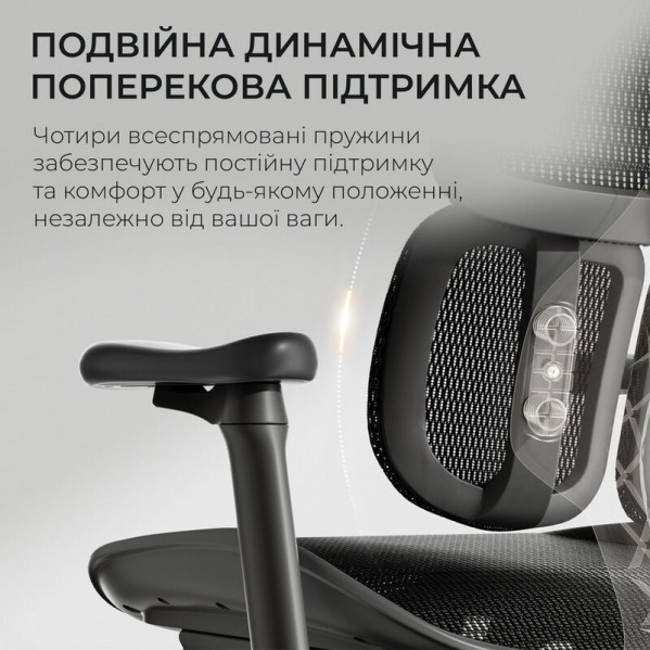 Крісло офісне Sihoo Doro S100 Mesh Black (S100-M301)