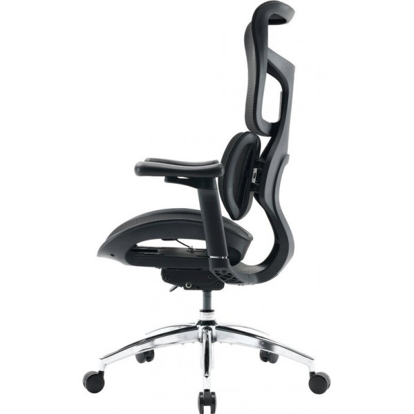 Крісло офісне Sihoo Doro S100 Mesh Black (S100-M301)