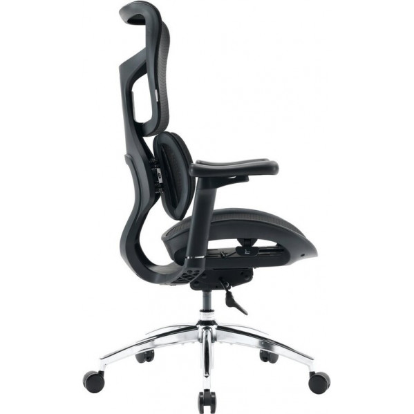 Крісло офісне Sihoo Doro S100 Mesh Black (S100-M301)
