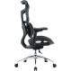 Крісло офісне Sihoo Doro S100 Mesh Black (S100-M301)