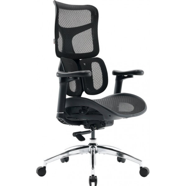 Крісло офісне Sihoo Doro S100 Mesh Black (S100-M301)