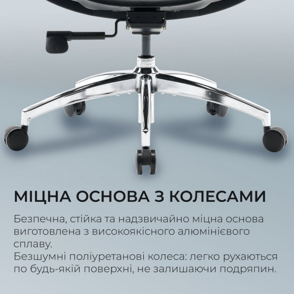 Крісло офісне Sihoo Doro S100 Mesh Black (S100-M301)