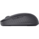 Миша Dell Prime MS7421W Graphite Wireless (570-BBDM)