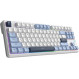 Клавіатура Ajazz AK870 V2 Flying Fish Switch White USB-C (AK870-V2-FF-BWB)