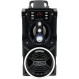 Акустична система Media-Tech Black (MT3150)