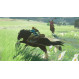 Гра The Legend of Zelda: Breath of the Wild для Nintendo Switch (045496420055)