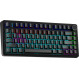Клавіатура Aula F75 Black (6948391202846)