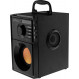 Акустична система Media-Tech Black (MT3145_V2)