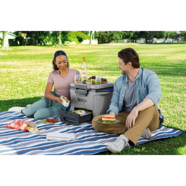 Термобокс Ninja FrostVault 28L Grey (FB131EUGY)
