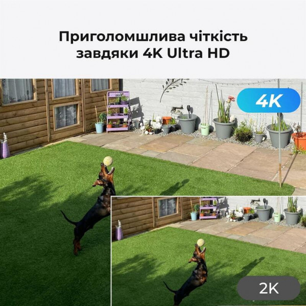 IP-камера Reolink P330 2.8 mm (RLC-810A)