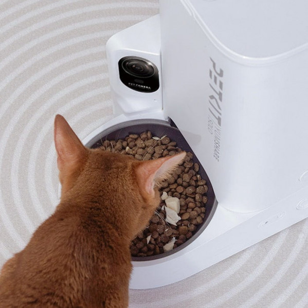 Смарт-годівниця Petkit YumShare Solo with Camera (P571)