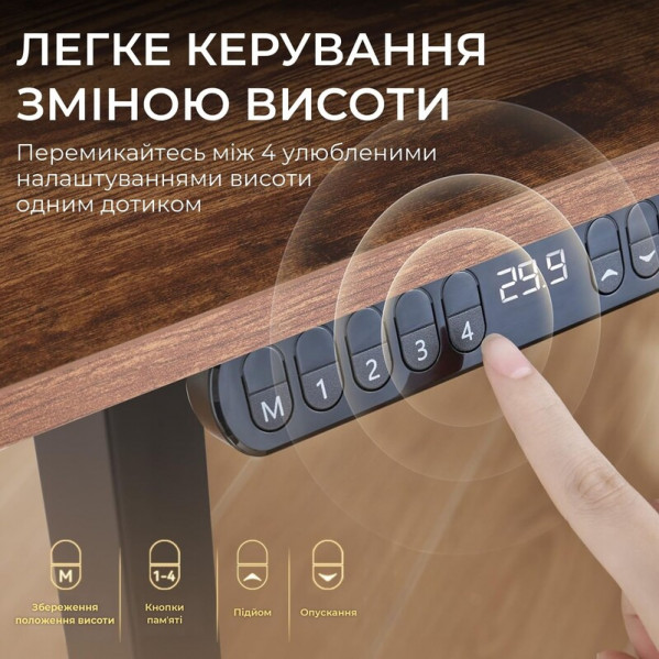 Комп`ютерний стіл Sihoo D03 Walnut/Black (D03-104/D03-108)
