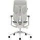 Крісло офісне Sihoo Doro S100 Mesh White (S100-M302)