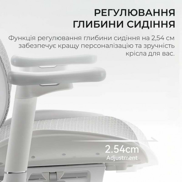 Крісло офісне Sihoo Doro S100 Mesh White (S100-M302)