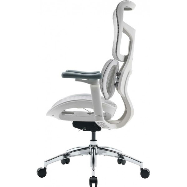 Крісло офісне Sihoo Doro S100 Mesh White (S100-M302)