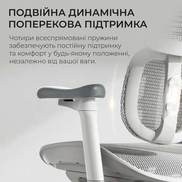 Крісло офісне Sihoo Doro S100 Mesh White (S100-M302)