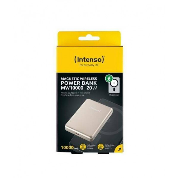 Універсальна мобільна батарея Intenso MW10000 10000mAh, 20W, Champagne (7344031)