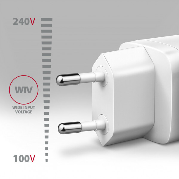 Зарядний пристрій Axagon 65W White (ACU-DPQ65W)
