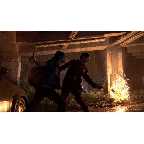 Гра The Last of us II для Sony PlayStation 4, Russian version, Blu-ray (9702092)
