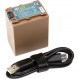 Акумулятор PowerPlant Sony TNP-FV100A 3090mAh з кабелем Type-C (CB971251)