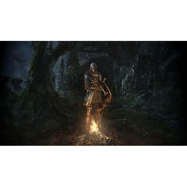 Гра Dark Souls: Remastered для Nintendo Switch (45496421892)