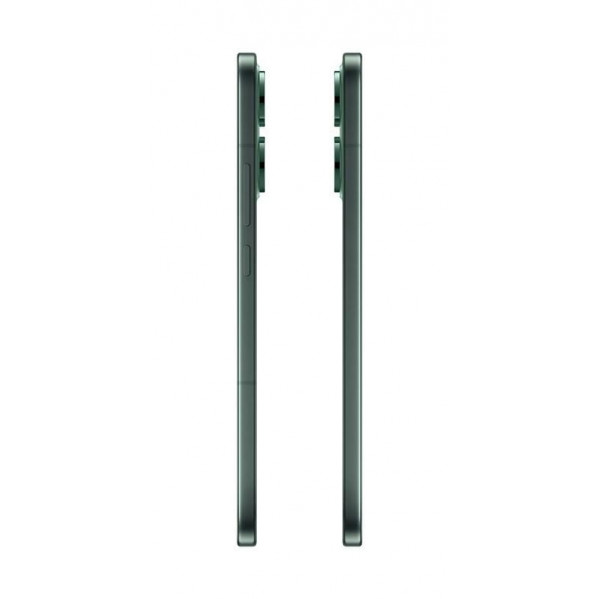 Смартфон Oppo Reno14 12/256GB Luminous Green