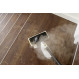 Пароочисник Karcher SC 1 Multi & Up (1.516-410.0)