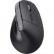 Миша бездротова Trust Bayo 2 Ergonomic Black (25146)
