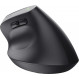 Миша бездротова Trust Bayo 2 Ergonomic Black (25146)