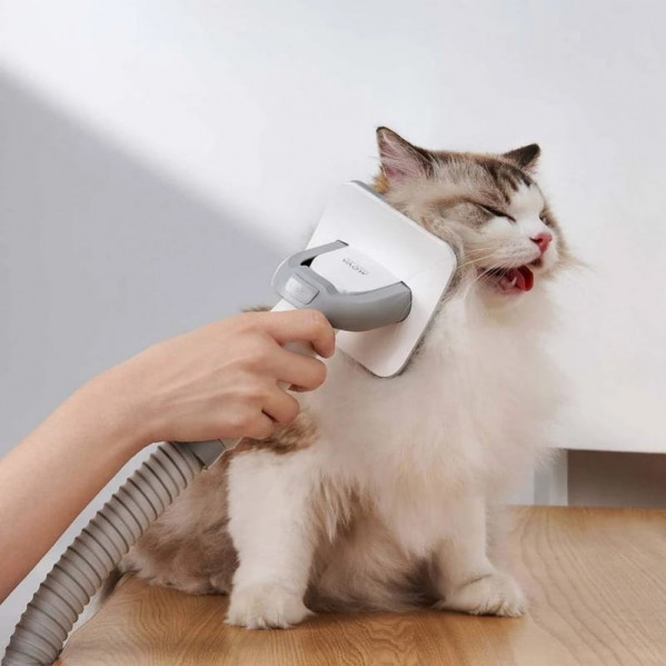 Набір для грумінгу Mova Pet Grooming G1Pro