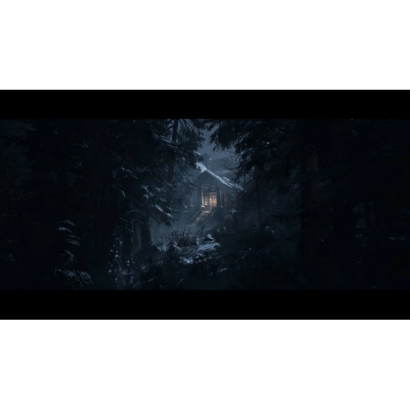 Гра Until Dawn для Sony PlayStation 5, Blu-ray (1000044321)