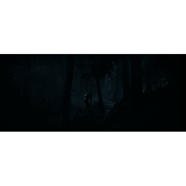 Гра Until Dawn для Sony PlayStation 5, Blu-ray (1000044321)