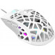 Мишка Canyon Puncher CND-SGM20W White USB